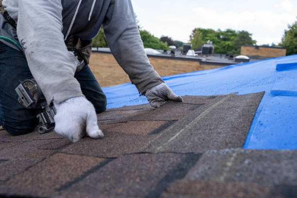 Best Flat Roof Repair Services  in Columbiana, AL
