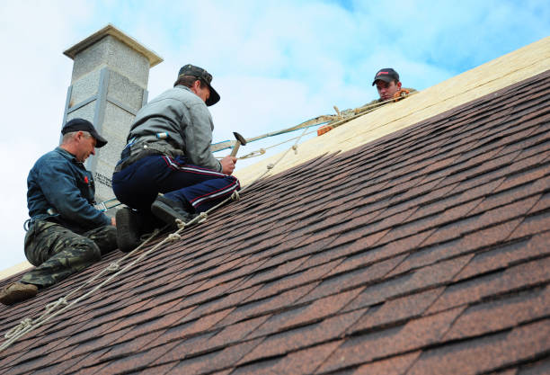 Best Storm Damage Roof Repair  in Columbiana, AL
